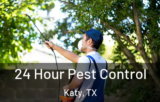  24 Hour Pest Control Katy, TX