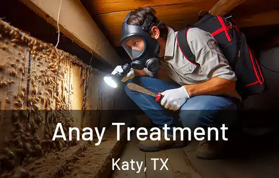  Anay Treatment Katy, TX