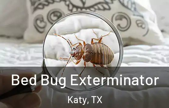  Bed Bug Exterminator Katy, TX