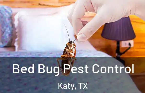  Bed Bug Pest Control Katy, TX