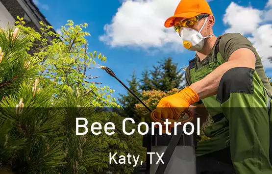  Bee Control Katy, TX