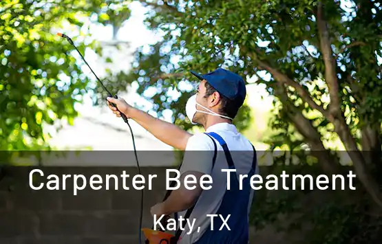  Carpenter Bee Treatment Katy, TX