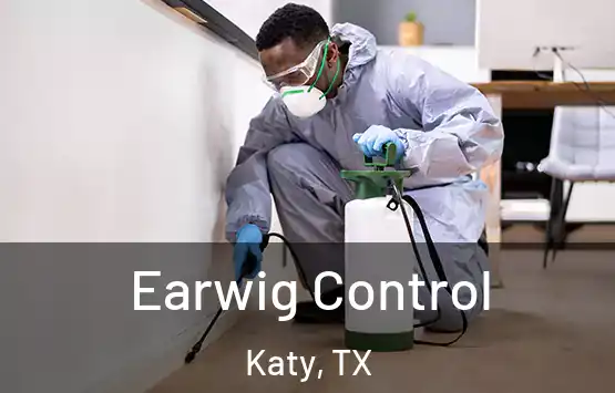  Earwig Control Katy, TX
