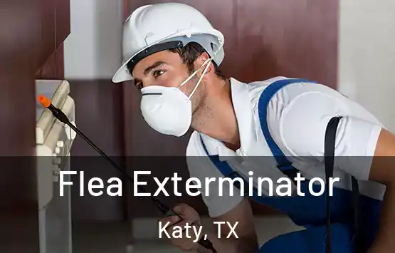 Flea Exterminator Katy, TX