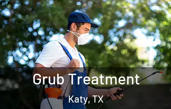  Grub Treatment Katy, TX