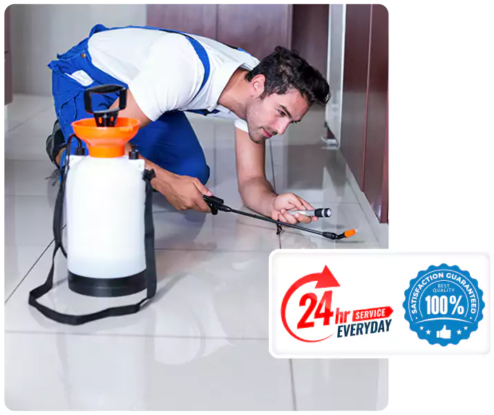 Year-Round Pest Prevention Plans in Katy