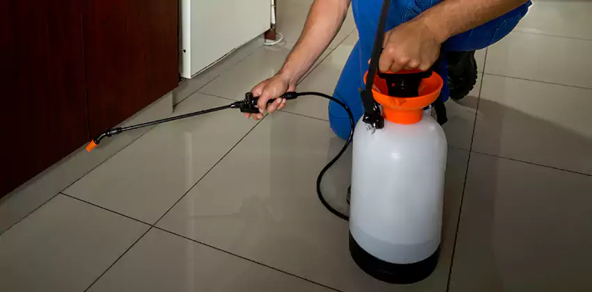 anay-treatment in Katy, TX