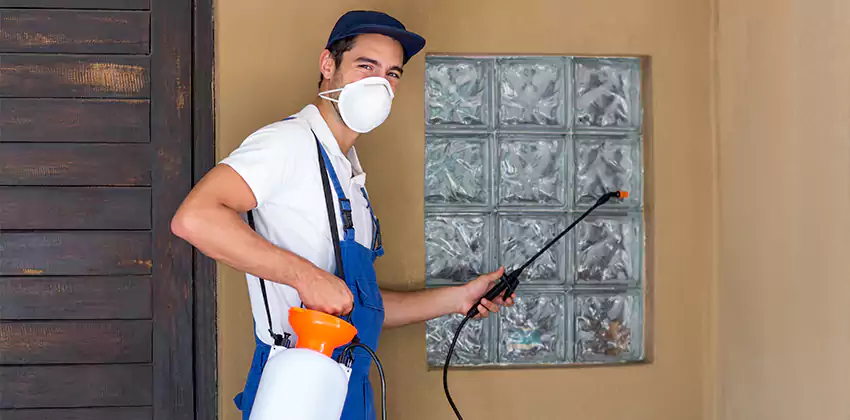 Bee Control for Bedrooms Katy, TX