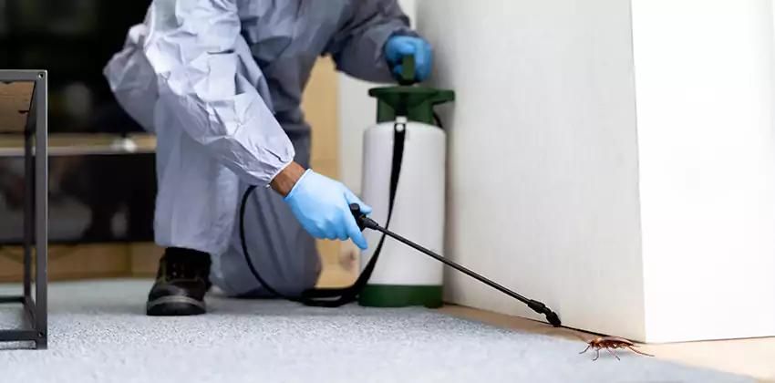 Commercial Pest Control for Offices in Katy, TX