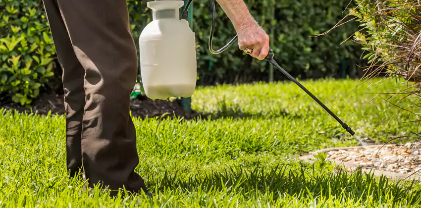 Grub Treatment for Bedrooms Katy, TX