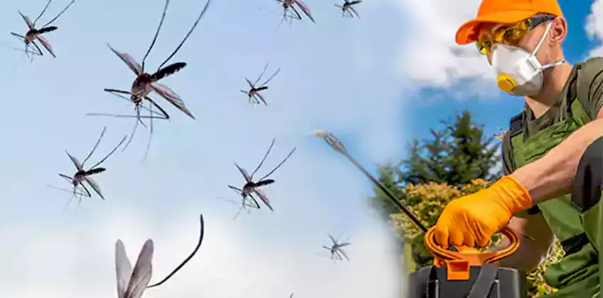 Commercial Mosquito Control Services in Katy, TX