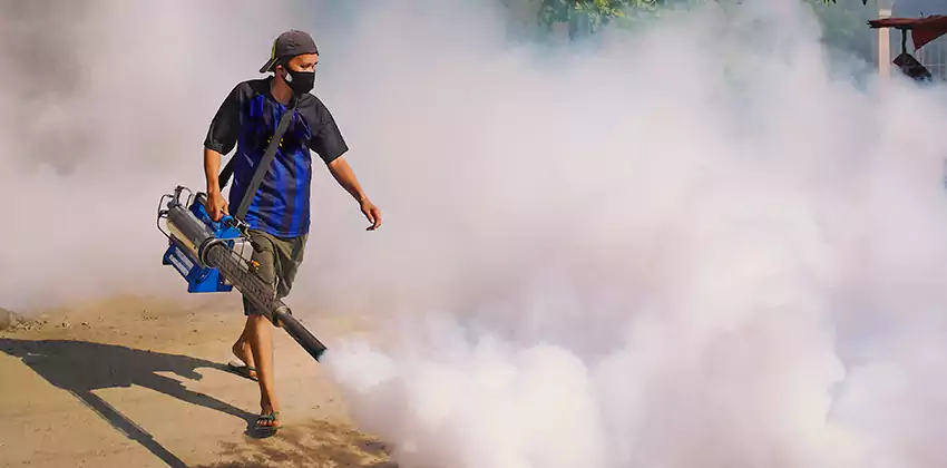 Bedrooms Mosquito Extermination in Katy, TX