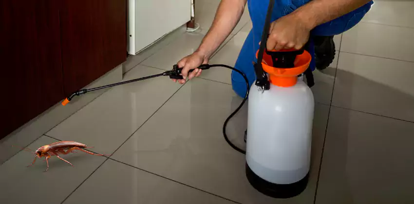 Exclusion and Sanitation Consultation in Katy, TX