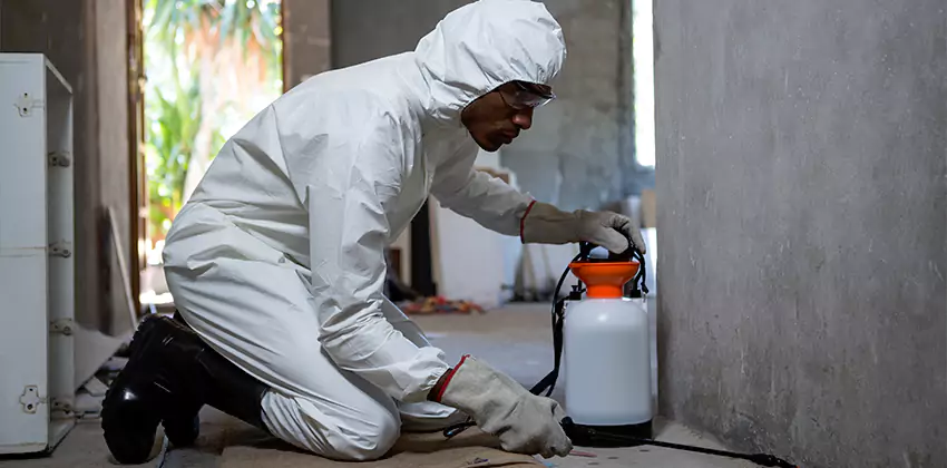 Termite Inspection for Bedrooms Katy, TX