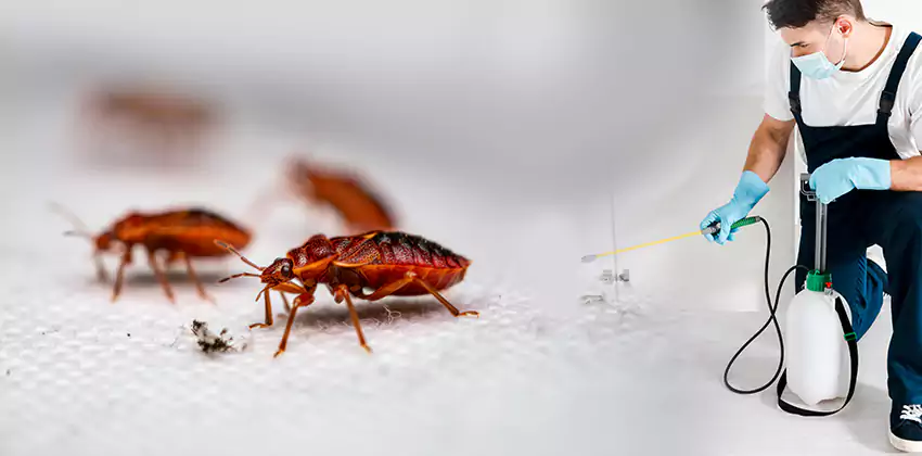 flea-control in Katy, TX