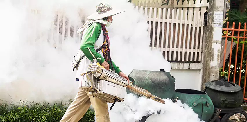 mosquito-exterminator in Katy, TX