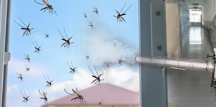 mosquito-treatment in Katy, TX
