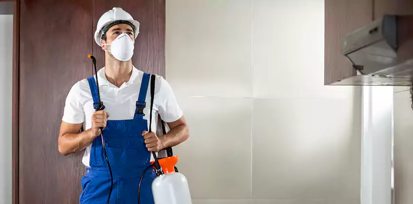 pest-inspection in Katy, TX