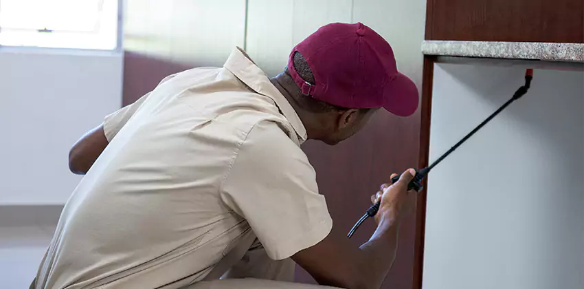 termite-inspection in Katy, TX