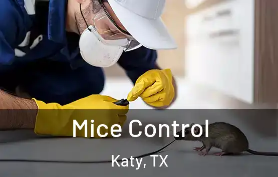  Mice Control Katy, TX