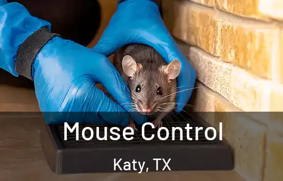  Mouse Control Katy, TX
