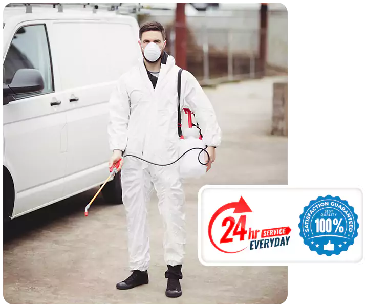 About Carpenter Bee Treatment Katy