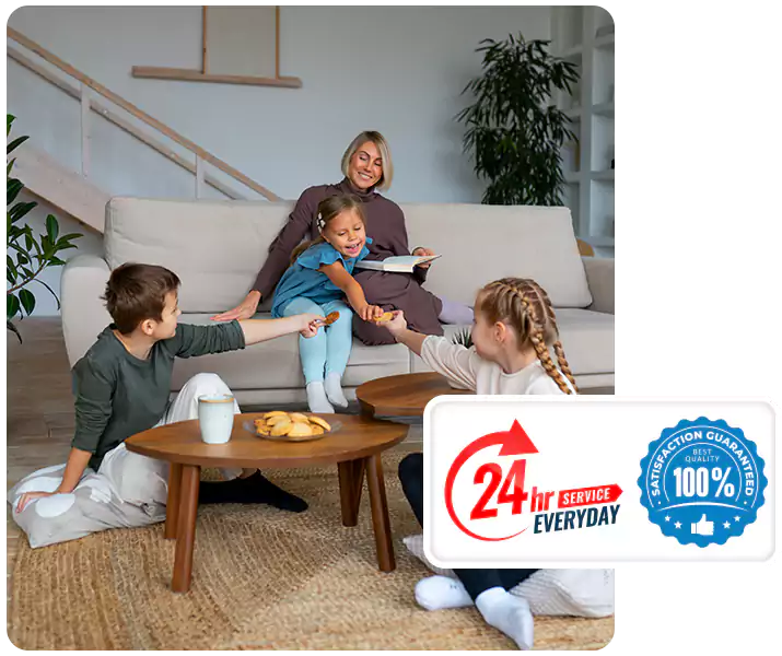 About Spider Exterminator Katy