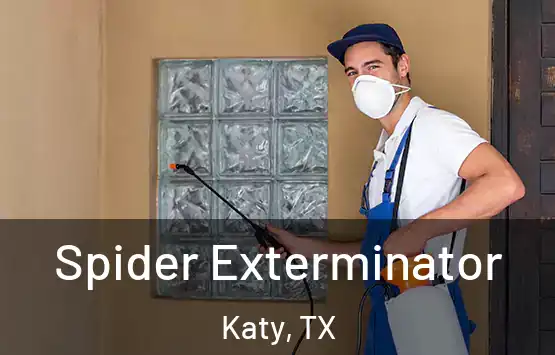  Spider Exterminator Katy, TX