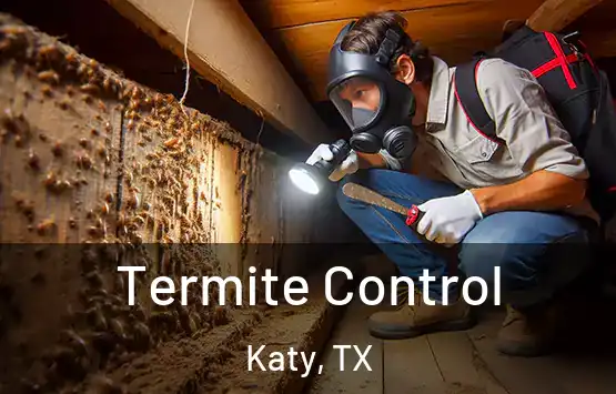  Termite Control Katy, TX