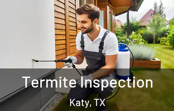  Termite Inspection Katy, TX