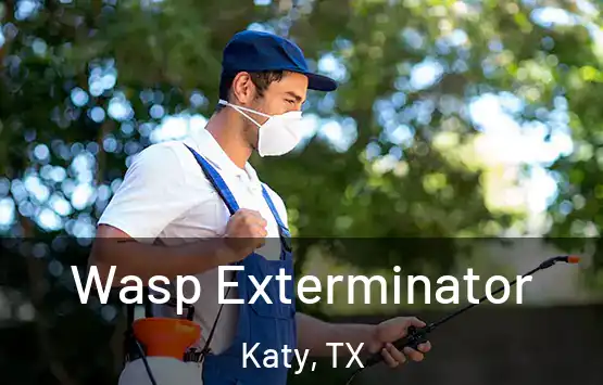  Wasp Exterminator Katy, TX