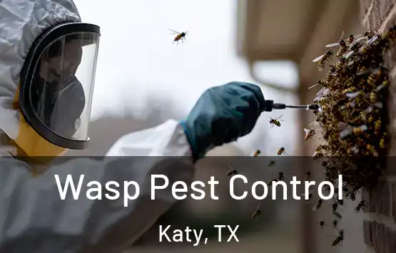  Wasp Pest Control Katy, TX